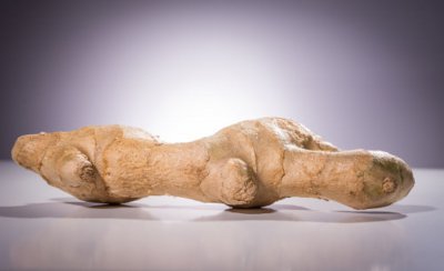 生姜收獲時間 生姜采收月份與技術(shù)要點(diǎn)